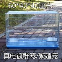 Bold weighted galvanized bird cage Parrot tiger skin Xuanfeng breeding cage Thrush starling electroplated metal bird