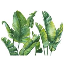 Tropical leaves wall stickers bedroom living room decoration