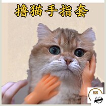 Fake hands on props shaking hands shaking hands shaking hair fingers touching cute dog Net red cat cat