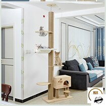 Dingtiant cat climbing frame super thick Sky Column furniture cat climbing column cat nest cat tree space cabin cat solid wood