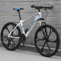 Giant adapted mountain variable speed adult bicycle Mens and womens MOPEDS Youth city sports car school