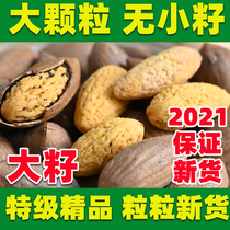 Torreya big seed 2021 New Torreya Torreya canned Shaoxing Zhuji Fengqiao specialty pregnant women nuts Super bulk