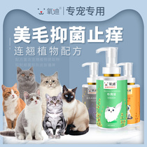 Odi cat shower gel British short blue cat silver gradual layer beautiful short puppet special shampoo detoxicant sterilization bath supplies