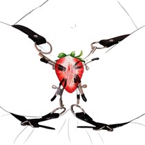 Labia Clip Clitoris Clamps BDSM Bondage Adult Games Clitoris