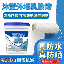 Exterior paint waterproof sunscreen self-brushing latex paint cement wall paint household color outdoor paint outdoor White