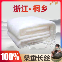 Tongxiang silk quilt 100% mulberry silk spring autumn by summer cold quilts by winter quilts by pure hand thickened natural quilt core full cotton