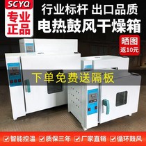 Blow drying oven electric heating constant temperature laboratory commercial size industrial oven oven vacuum high temperature drying box