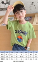 The pattern of meat dumplings T817 middle and big childrens shoulder half-sleeve T-shirt pattern
