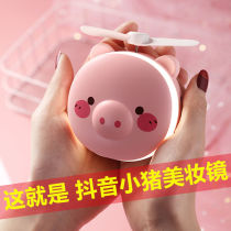 Shake sound pig makeup mirror with light mini fan rechargeable portable led light beauty mirror artifact