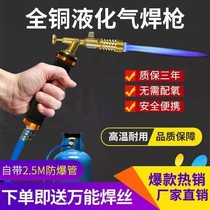 2021 new liquefied gas welding gun household welding maintenance tools welding copper iron aluminum stainless steel dual-use spitfire gun