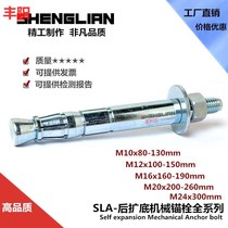 Rear expansion mechanical anchor bolt 8 8 expansion single double tube rear-cut heavy anchor bolt M10M12M16M20M24_