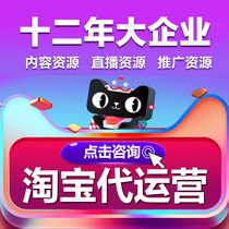 Taobao generation operation online store hosting Taobao hosting management service flow promotion online store e-commerce