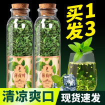 Peppermint Tea 2021 Peppermint leaf tea Dried peppermint tea fresh edible peppermint granules Cool cold-brewed tea soaked in water to drink