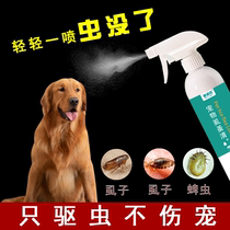 In vitro Insect Repellent Dog Insect Repellent dogs Go to flea cat dog spray Pets for external use in addition to the lice body inside and outside