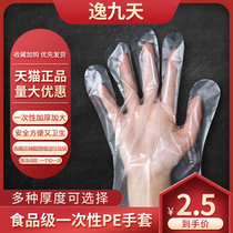 Disposable gloves food grade PVC plastic transparent thick commercial film catering crayfish 100 only