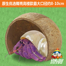 Hermit crab pet shelter house Native preferred coconut shell shelter hole Hamster shelter hole landscaping simulation rock hole