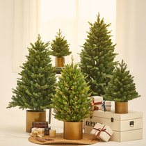 Honghan PE simulation Christmas tree green plant Christmas desktop decoration ornaments home window Christmas decoration