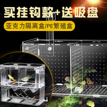 Fish tank isolation box guppies breeding box delivery room small fry incubator isolation net acrylic turtle isolation box