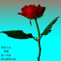 Cool dog starry live gift person head balloon heart animal Moonlight City ancient giant Kun hot hot selling elf goddess