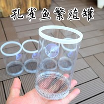 ssx guppies breeding box Betta fish isolation net household small production box mother fish raw small fish separation delivery room incubation