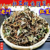 Houttuynia cordata cordata dried Houttuynia root new-dried Sichuan Houttuynia cordata tea pot soup radiation immune virus resistance material