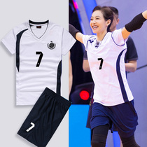 Volleyball suit suit Womens game suit Sports training team uniform Professional gas volleyball clothes Mens custom group purchase printing size