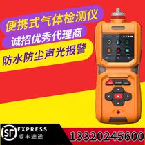 Portable hydrocarbon gas detector Alarm instrument MS600S-Cxhy tester Non-methane total hydrocarbon detector