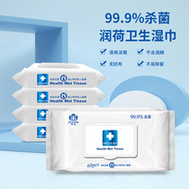 Runhe sanitary wipes Family affordable 60 pieces*5 packs of private parts sterilization and disinfection wet wipes mens removable