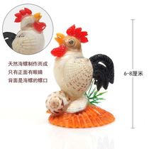12 12 Zodiac natural conch shell crafts home decorations tourist souvenir ornaments childrens toys