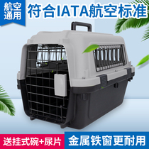 Pet flight box cat delivery box empty transport box cat cage portable car out cat box dog out big dog