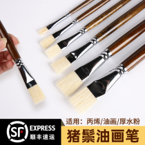 Bristle brush acrylic chalk set professional paint pen oil painting wall painting pig hair hard brush beginner art brush flat head students use painting brush
