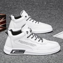 Guochao Li Ning Korean mens shoes Korean version of the new canvas shoes casual autumn 2021 trend shoes year small