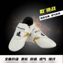 Taekwondo Shoes Summer Breathable Children Son of Humane Shoes Breathable Abrasion Resistant Rubber Soft-bottom Boy Professional Training