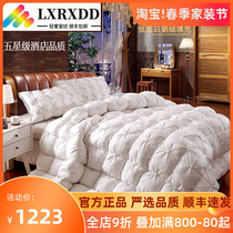 Down quilt sub 95 white goose suede winter by a 5 star hotel Duck Suede Spring Autumn Quilt Core Thickened Warm Double