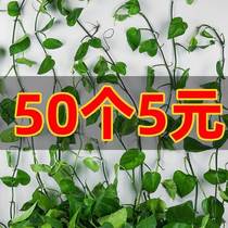 Green Luo climbing wall artifact fixed Vine green plant indoor nail-Free Wall self-adhesive hook Wall unscented climbing