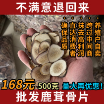 Traditional Chinese medicine antler bone piece Plum Blossom Antler Slice Chinese Herbal Medicine Authentic bubble Wine Dry Male Mens Tohoku tonic