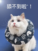 Cat Item Circle Elizabeth Circle Cat Head Cover Neck Ring Ilisha White Circle Young Cat Anti-Licking Collar Pet Dog Dog Neck