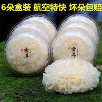 6 boxed rare clouds fresh natural Gutian fresh white fungus snow ear fresh non-dry white fungus pure soft waxy multi glue