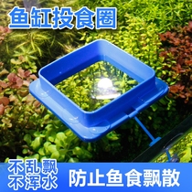 Fish tank feeding ring feeder Feeding ring fish Guppy feeder Fish buoyancy feeding tube Small shrimp feeder