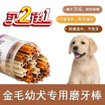 Golden retriever special training dog snacks for golden retriever for calcium puppies