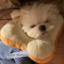 Kitty Toast Elizabeth Soft Neckline Cat Shame Ring Sun Flowers Pet Containment Neck Hood for Licking Young Cat Collar