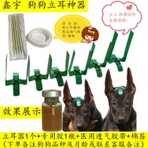 Dog erect device German herd Du Bing dog standing ear frame Black Wolf Laizhou Red Dog Corky deer ear stick ear stick