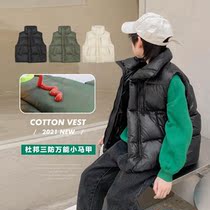 Childrens clothing boy vest New 2021 middle-aged childrens autumn and winter foreign style winter wearing boy Cotton horse clip tide