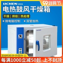 Electric blast drying oven laboratory dryer constant temperature oven industrial small drying box