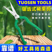Tuosen Fruit Branches Cut Stainless Steel Straight Headed Hifruit Cut Fruits Cut Grape Gardening Cut 8 Inch Fruit Trees Prunes Rare Fruit Cut
