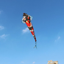 Kite adults special stunt kite net red boutique personality 2022 new easy-to-fly big kite stunt kite
