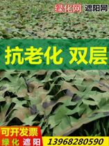 Anti-aerial camouflage net camouflage net outdoor decoration camouflage sunshade net cloth Greening anti-counterfeiting net Pure Green