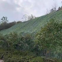 Camouflage Net multi-specification Custom-made anti-invisible shooting icon camouflage kindergarten outdoor leaves shade green net