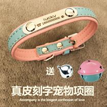 Cat collar Summer exclusive anti-loss dog tag belt Dog cover Neck rope Traction rope Adjustable dog high-end