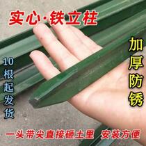 Niu fence wire mesh column thickened triangle pointed solid iron column outdoor cattle and sheep breeding isolation net column